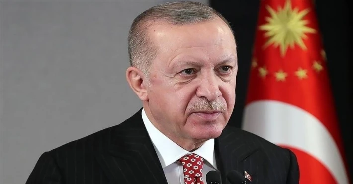 Avrupa Parlamentosunun Alman üyesinden Cumhurbaşkanı Erdoğan'a "Türkiye'nin çıkarlarını savunuyor" övgüsü