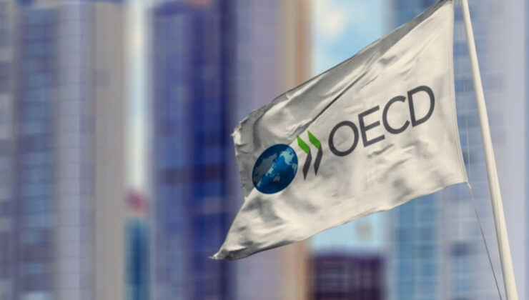 OECD, Türkiye büyüme tahmini