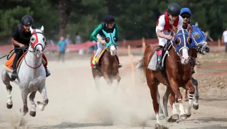 8 Mayıs 2024 Çarşamba TJK at yarışı koşu sonuçları belli oldu! Hangi atlar birinci geldi?