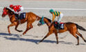 28 Nisan 2024 Pazar TJK at yarışı programı açıklandı! İşte koşu saatleri…