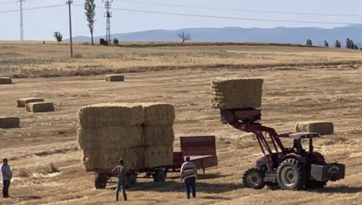 Çiftçiler dikkat! ÇKS ürün güncelleme başvuruları başladı