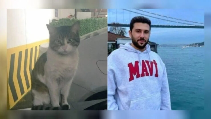 Sitede vahşice öldürülen kedi Eros davası bugün yeniden başlıyor!