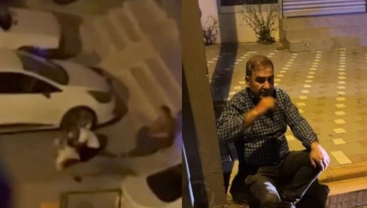 Pitbull cinsi köpeğin saldırısına uğrayan 3 kişi yaralandı! O anlar kamerada!