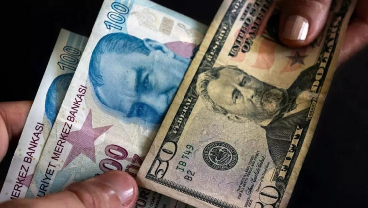 ABD'li dev bankadan dolara karşı TL önerisi