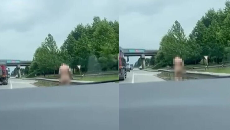Kocaeli'de ilginç görüntü: Karayolunda çırılçıplak dolaştı