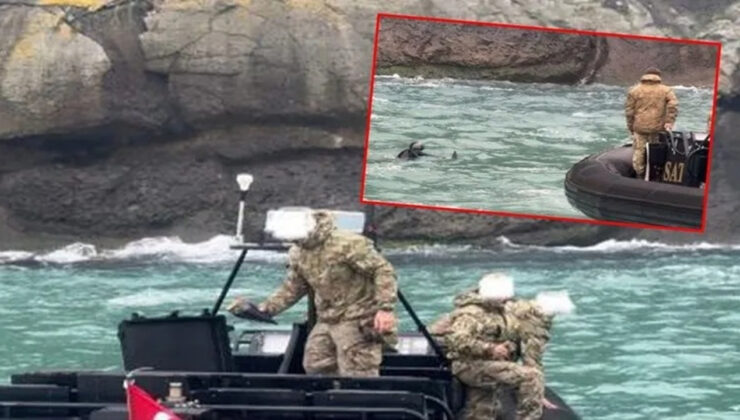 İstanbul Boğazı'nda deniz yüzeyinde görülen cisim panik yarattı!