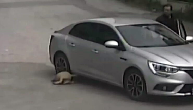 Sakarya'da insanlıktan utandıran görüntüler! Köpeği ezdi, kaçtı