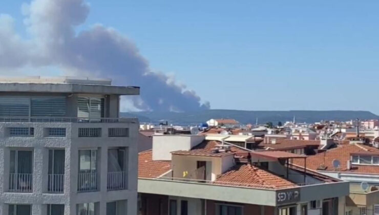 Çanakkale'de orman yangını! Boğaz'da gemi trafiği tek yönlü durduruldu! Bir köy boşaltıldı! Valilikten ziyaretçiler için uyarı