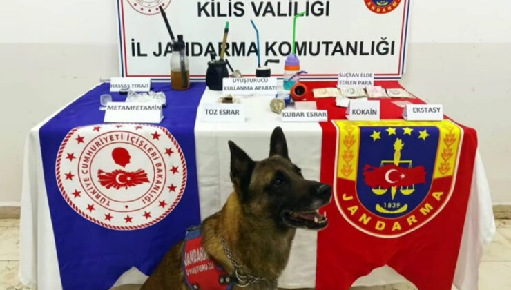 17 ilde zehir tacirlerine operasyon! Bakan Yerlikaya, ''Uyuşturucuya geçit yok'' diyerek duyurdu: 103 kişi yakalandı