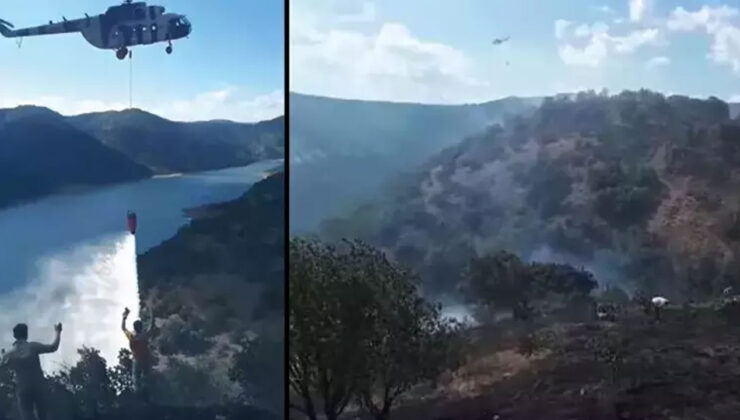 Ankara'da ormanlık arazide çıkan yangın kontrol altında