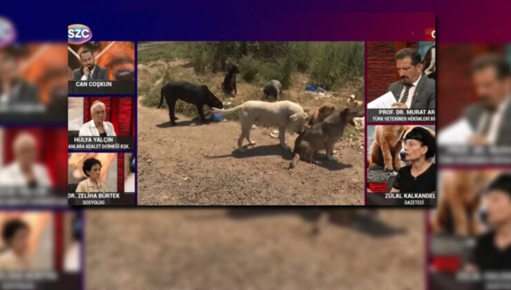 Sözcü TV canlı yayınında skandal tehdit! "Sokak savaşları başlar"