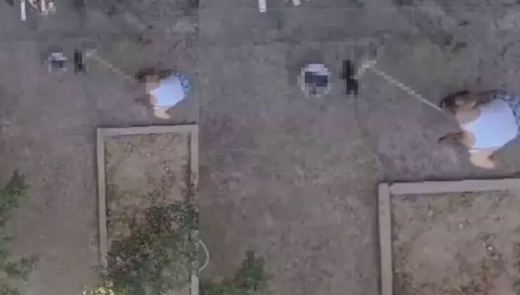 Manisa'da dehşet! 3 yavru kediyi sopayla vurarak öldürdü