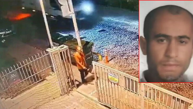 Fatih'te köpek saldırısında can verdi! İşte Ayhan Özçelik'in hastane raporu!