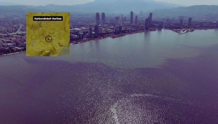 İzmir için alarm: Balık ölümleri, denizin kararması derken…