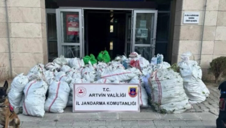 Artvin'de zehir tacirlerine operasyon! 502 kg uyuşturucu madde ele geçirildi! 2 şüpheli yakalandı