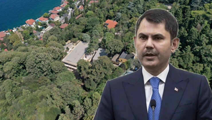 Bakan Kurum'dan Boğaz'daki kaçak villa inşaatı açıklaması: Vaniköy'deki kaçak yapıyı mühürledik, yıkım yapılacak!