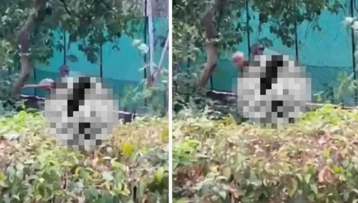 Bunları teneşir paklar! İzmir'de yaşlı sapıklar herkesin gözü önünde ilişkiye girdi!