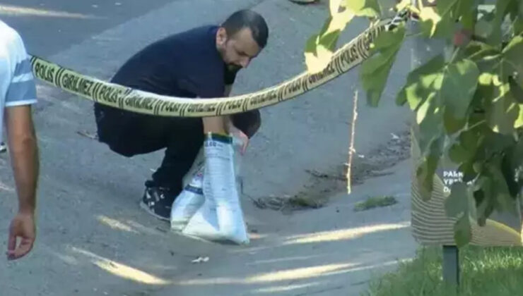 Beykoz'da yol kenarında pimi çekilmemiş el bombası bulunmuştu! 9 şüpheli adliyede!