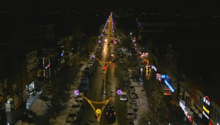 Bir şehir karga istilası altında: Akşam sokağa çıkmaya korkuyorlar