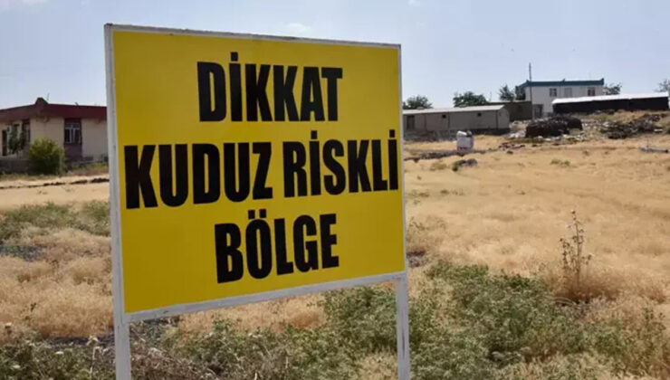 Hatay’da kuduz paniği: Bir mahalle karantinaya alındı