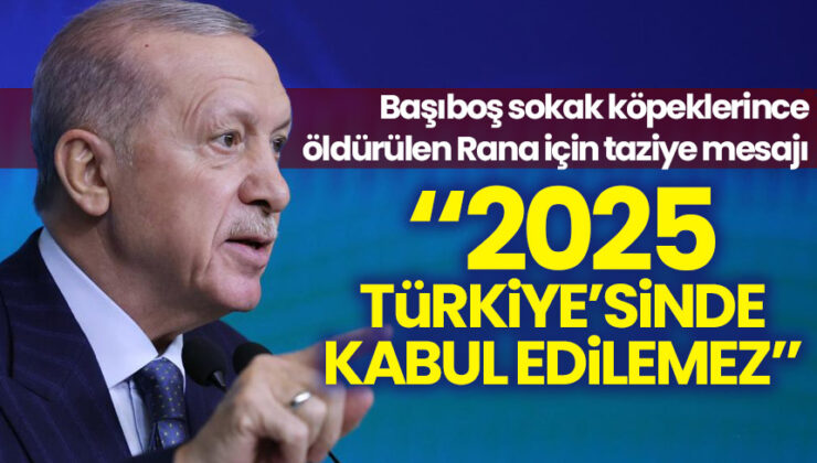 Başıboş sokak köpeklerince katledilmişti! Erdoğan’dan Rana için taziye mesajı!