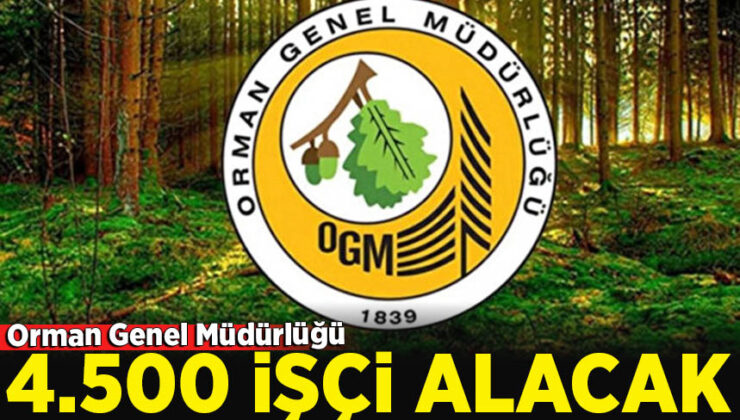 Orman Genel Müdürlüğü (OGM) 4 bin 500 geçici işçi alımı yapıyor