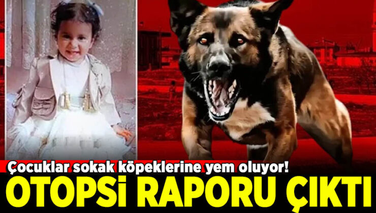 Konya’da köpeklerin saldırdığı Rana’nın otopsi raporu çıktı