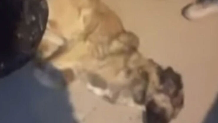 3 belediye çalışanı açığa alındı