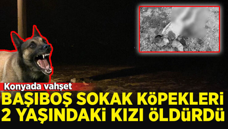 Konya’da 2 yaşındaki çocuk köpeklerin saldırısı sonucu hayatını kaybetti