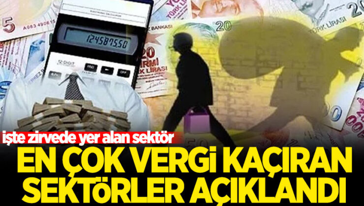 En çok vergi kaçıran sektörler açıklandı!