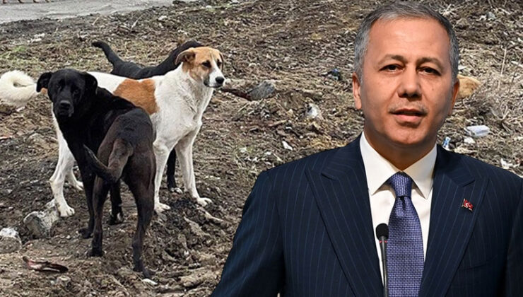 Ya bu işi yapacaklar ya da…