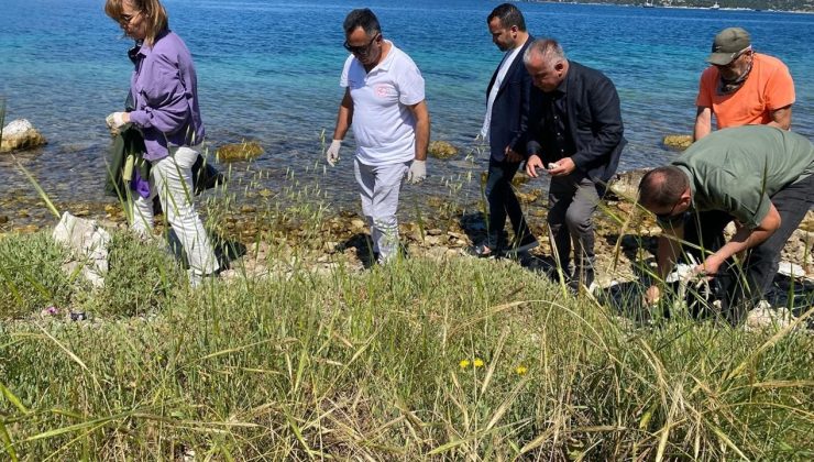 Bodrum’da Deniz ve Kıyı Temizliği: 2 Ton Atık Toplandı