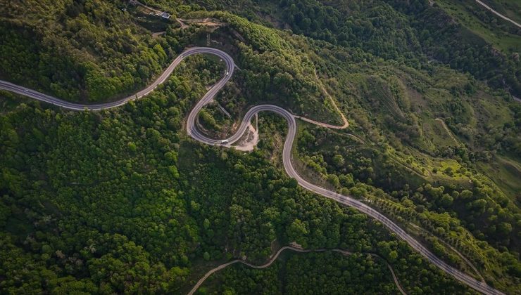 Domaniç Dağları’nda İlkbaharın Yeşil Tonlarıyla Yoldaşlık