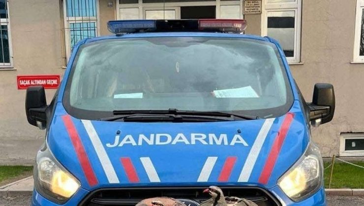 Erzurum’da Kaçak Avcılığa 13 Bin 500 Lira Ceza