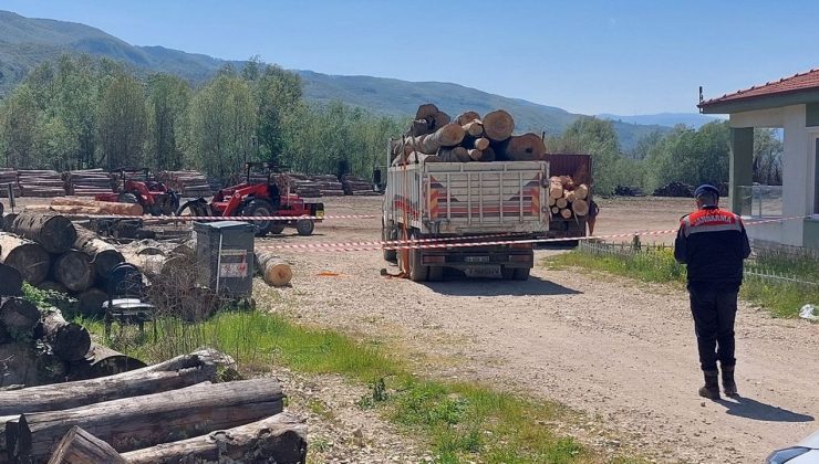 Sakarya’da Tomruk Devrilmesi Sonucu İşçi Hayatını Kaybetti