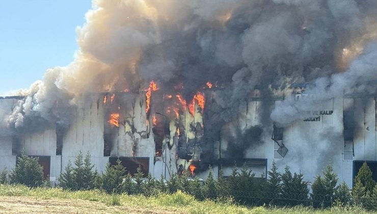 Tekirdağ’daki Kauçuk Fabrikasında Yangın Çıktı