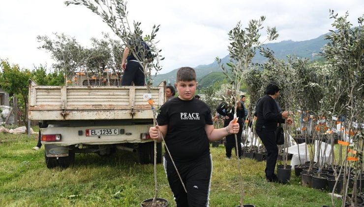 TİKA, Arnavutluk’ta İhtiyaç Sahibi Ailelere Zeytin Fidanı Hibe Etti