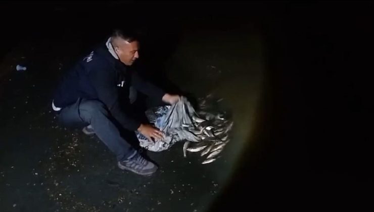 Van’da Kaçak İci Kefali Avına 59 Bin Lira Ceza