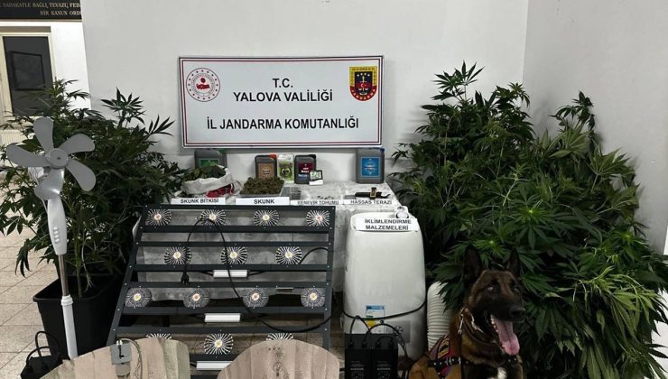Yalova’da Uyuşturucu İmalatı: Zanlı Tutuklandı