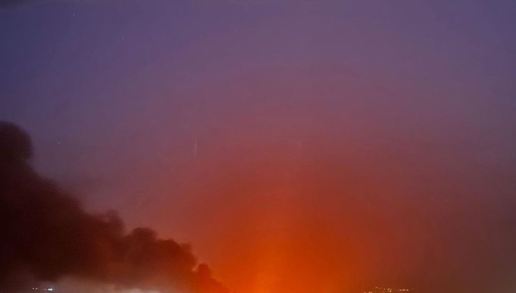 Mersin Göksu Deltası’nda Yangın Alarmı!