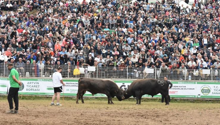 44. Kafkasör Kültür, Turizm ve Sanat Festivali Boğa Güreşleriyle Sona Erdi