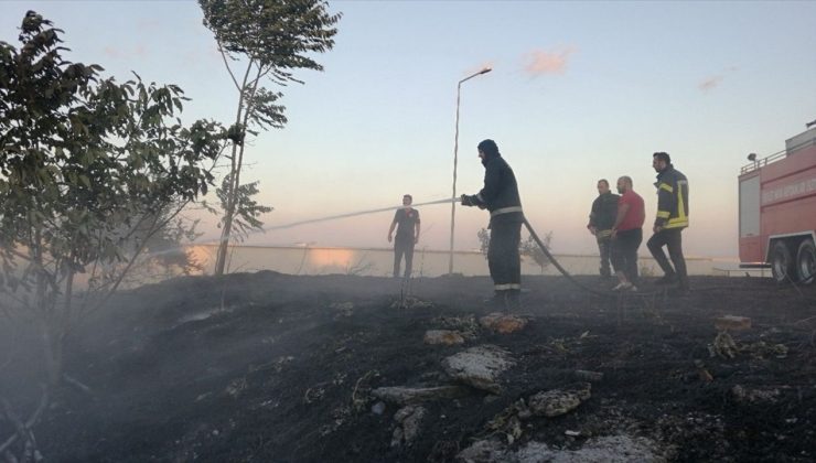 Otluk Alanı Kısa Sürede Kontrol Altına Alındı