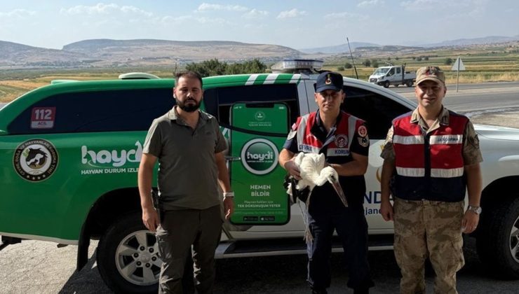 Batman’da Yaralı Leyleğe Jandarma Şefkati