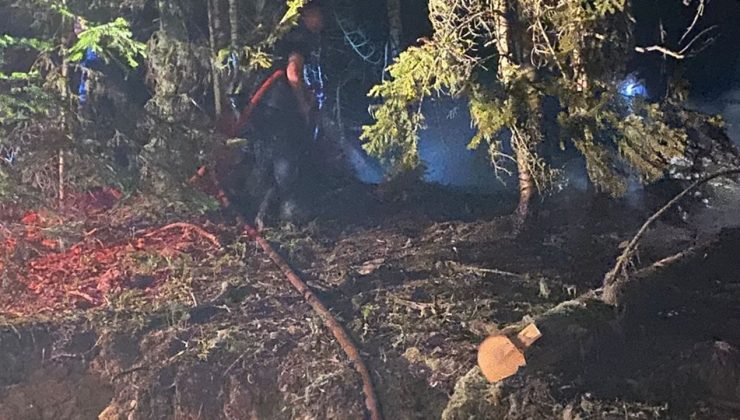 Gümüşhane’de Orman Yangını Kontrol Altına Alındı