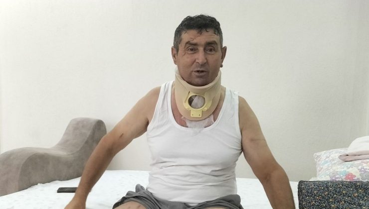 Manavgat’taki Aslan Saldırısında Çiftçiden Üzüntü Dolu Açıklama
