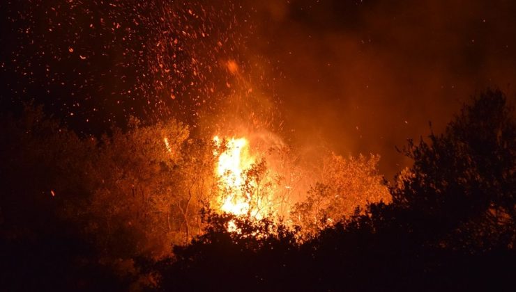 Manisa’da Tarım Arazisinden Ormana Sıçrayan Yangın Kontrol Altına Alındı
