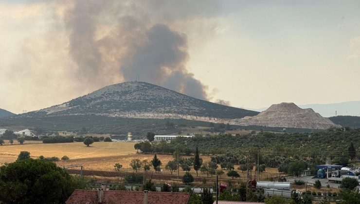Muğla’da Yıldırım Kaynaklı Orman Yangınına Hızla Müdahale Ediliyor