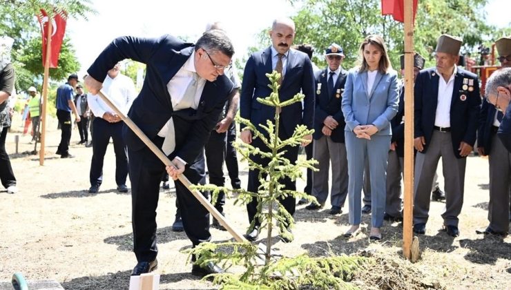 Sinop’ta 15 Temmuz Şehidi Açıkgöz İçin Hatıra Ormanı Bakımı