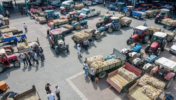 Hasat Sonrası Çiftçiler Ürünlerini satışa Sunuyor