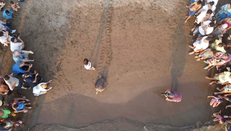Caretta Caretta ‘Tuba’, İkinci Dünya Turuna Salındı